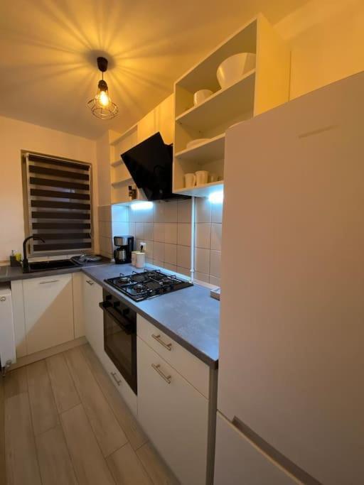 Black& White Apartment Braşov Buitenkant foto